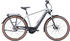 Pegasus Premio Evo 5F Belt (625 Wh) Men (2023) 28 silver / black