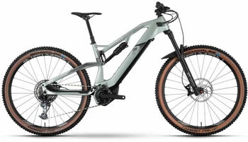 r-raymon AirRay 11.0 pistaccio/chrome 2022 41 cm
