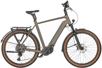 Kalkhoff Entice 5.B Advance+ 625 Wh Men grey (2024)
