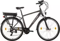 Hollandia "Zagon" 6 Gang Shimano Tourney Schaltwerk Kettenschaltung Frontmotor 250 W
