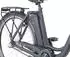 Prophete Geniesser 1.0, 28 inches