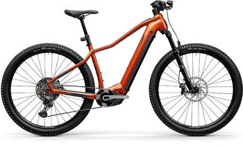 Centurion Backfire Fit R2000i - 750 Wh - 750 Wh (2024) 29" Men bernstein