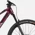 Canyon Neuron:ONfly CF 7