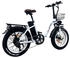 DrVetion CT20 Fat E-Bike 750W 15Ah 48V white
