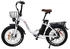 DrVetion CT20 Fat E-Bike 750W 15Ah 48V white