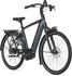 Gazelle Arroyo C5 HMB Elite 600Wh (2025) Diamant anthracite