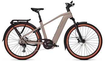 Kalkhoff Entice 5+ Advance 800 Wh Herren grau (2025)