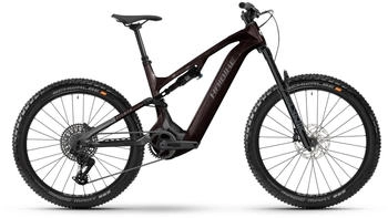 Haibike ALLMTN CF 9 800 black/platinum gl&auml;nzend (2025)