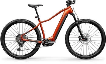 Centurion Backfire Fit R2000i bernstein (2025) 29" 750 Wh Diamant