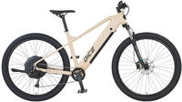Prophete "Dice 2.0" 9 Gang Shimano Alivio Schaltwerk Kettenschaltung Heckmotor 250 W