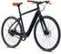 Momentum Voya E+