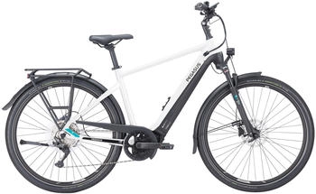 Pegasus Premio EVO 10 Lite Men white 750 2023