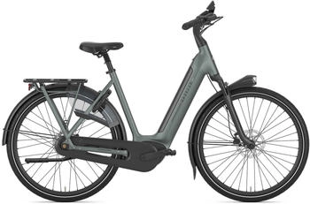 Gazelle Arroyo C8+ Elite 600 2025 green