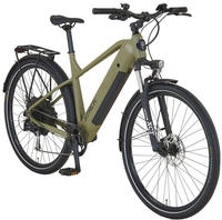 Prophete "Stack 2.0" 9 Gang Shimano Alivio Schaltwerk Kettenschaltung Heckmotor 250 W