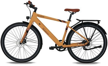 SachsenRAD Urban Trekking EBike C3T