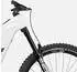Canyon Strive:On CFR LTD