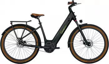 SUV E-Bikes