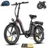 Fafrees 20 Zoll E-Bike 36 V 20 Ah 720 Wh Pedelec 7 Gang, Schwarz
