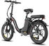 Fafrees 20 Zoll E-Bike 36 V 20 Ah 720 Wh Pedelec 7 Gang, Schwarz