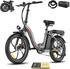 Fafrees E-Bike 20 Zoll 36 V 20 Ah 720 Wh 7 Gang, Grau
