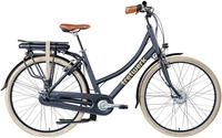 Tretwerk "Aurora" 7 Gang Nabenschaltung Frontmotor 250 W Pedelec, Elektrofahrrad f&uuml;r
