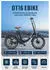 ONESPORT Elektro Klapprad 20 Zoll 48 V 17 Ah