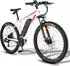 SMART AI 26-Zoll MTB Trekking E-Hollandrader 250W Motor 13Ah Akku 21-Gang City Rot