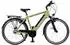 Maxtron MT-11X Elektro-Trekkingrad 28 Zoll grün