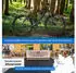 Bergsteiger Cannock Elektro-Mountainbike 29 Zoll grau
