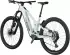 Scott Patron ST 900 29 Carbon mistyade grün 2026