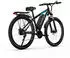 SMART AI DUOTTS C29 29 Zoll 48V 15Ah*2 Carry APP für Damen und Herren ab 170 cm Mountainbike 29 Zoll E MTB