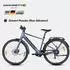 Saxonette Urbano Elektro-Cityrad 28 Zoll grau