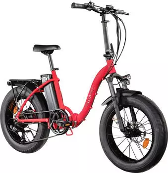 Elektro-Fatbikes