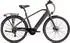Hollandia Mantova Elektro-Trekkingrad 28 Zoll grau