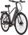 Hollandia Mantova Elektro-Trekkingrad 28 Zoll grau