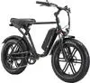 Elektro-Fatbikes