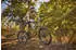 Fischer-Bike MONTIS 10.0i