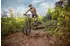 Fischer-Bike MONTIS 10.0i