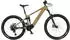 Fischer-Bike MONTIS 10.0i