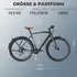 Fafrees E-bike 28 Zoll Herrenfahrrad Pedelec mit 9 Gang, Blau