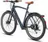 Fafrees E-bike 28 Zoll Herrenfahrrad Pedelec mit 9 Gang, Blau
