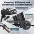 Fafrees E-Bike 26 Zoll MTB 36 V 20,3 Ah 730,8 Wh Mountainbike 7 Gang, Grau