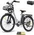 Fafrees E-Bike 26 Zoll MTB 36 V 20,3 Ah 730,8 Wh Mountainbike 7 Gang, Grau