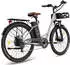 Fafrees E-Bike 26 Zoll MTB 36 V 20,3 Ah 730,8 Wh Mountainbike 7 Gang, Grau