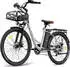 Fafrees Ebike 26 Zoll e Bike Herren 36V 20.3Ah 7S Grau