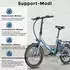 Fafrees E-Bike 20 Zoll 36 V 16,75 Ah 603 Wh Pedelec Klapprad 7 Gang schwarz