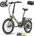 Fafrees E-Bike 20 Zoll 36 V 16,75 Ah 603 Wh Pedelec Klapprad 7 Gang schwarz