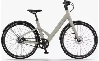 Reany Bikes W1 Pro