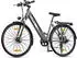 Fafrees Qekud E-Bike für Männer/Frauen Rahmen 18 Zoll Aluminium Rad 26“ grau