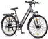 Fafrees Qekud E-Bike für Männer/Frauen Rahmen 18 Zoll Aluminium Rad 26“ grau